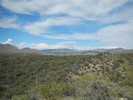 photo thumbnail #4