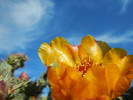 photo thumbnail #9