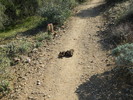 photo thumbnail #11