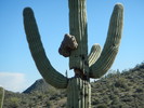 photo thumbnail #12