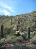 photo thumbnail #14