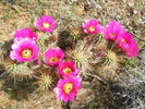 photo thumbnail #5
