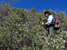 photo thumbnail #5