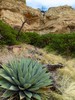 photo thumbnail #9
