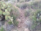 photo thumbnail #7