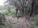 photo thumbnail #12