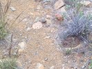 photo thumbnail #13