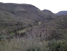 photo thumbnail #14