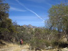 photo thumbnail #7