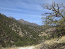photo thumbnail #11