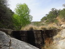 photo thumbnail #15