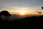 photo thumbnail #11