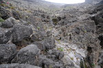 photo thumbnail #15