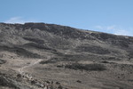 recent photo