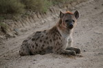Featured Full Photo