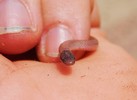 photo thumbnail #2