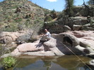 photo thumbnail #1