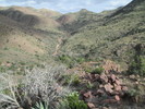 photo thumbnail #5