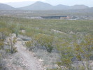 photo thumbnail #8