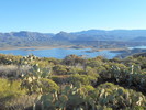 photo thumbnail #6