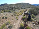photo thumbnail #8