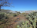 photo thumbnail #11