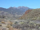 photo thumbnail #14