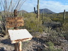 photo thumbnail #3