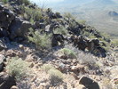 photo thumbnail #4