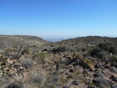 photo thumbnail #8