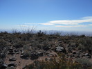 photo thumbnail #9