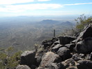 photo thumbnail #14
