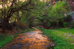 photo thumbnail #11