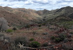 photo thumbnail #5