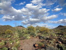 photo thumbnail #7