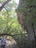 photo thumbnail #6