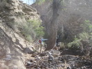 photo thumbnail #3