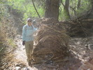 photo thumbnail #7