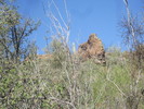photo thumbnail #2
