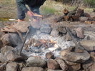 photo thumbnail #5