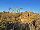photo thumbnail #1