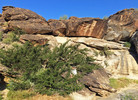 photo thumbnail #7