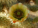 photo thumbnail #3