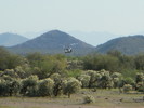 photo thumbnail #7