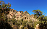 photo thumbnail #4