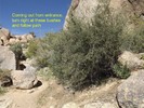 photo thumbnail #12