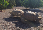 photo thumbnail #1