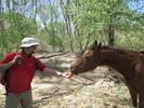 photo thumbnail #3