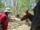 photo thumbnail #4