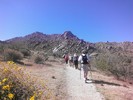 photo thumbnail #6